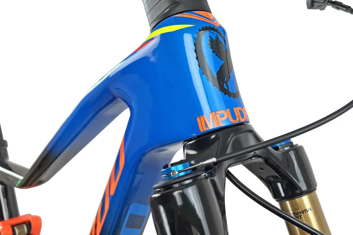 TORPADO RENERO X – SRAM XX1 AXS – FOX 34 – Bild 4