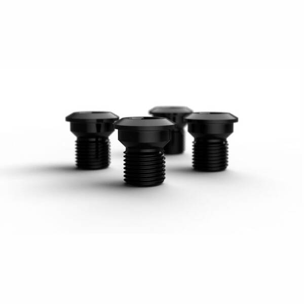 ROTOR Kettenblattschraube 2X GRAVEL 110/80x4 BOLT SET