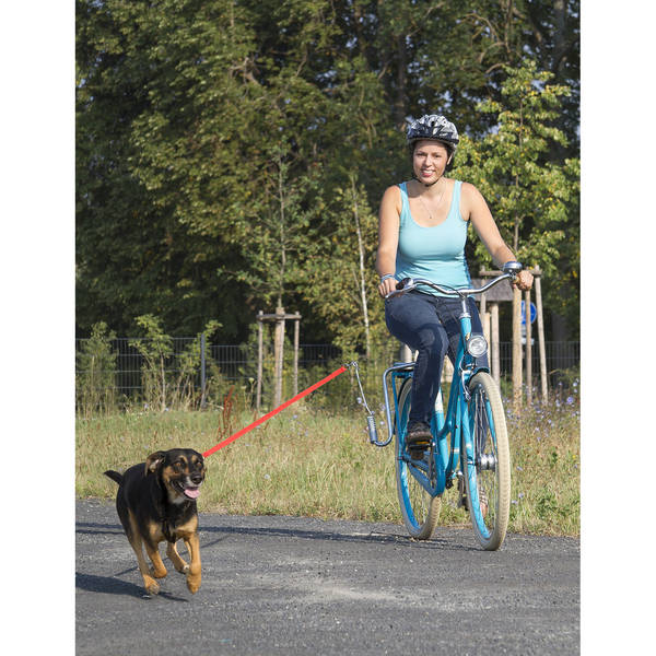 M-WAVE Hundeleinenführstange Dog Walk – Bild 3