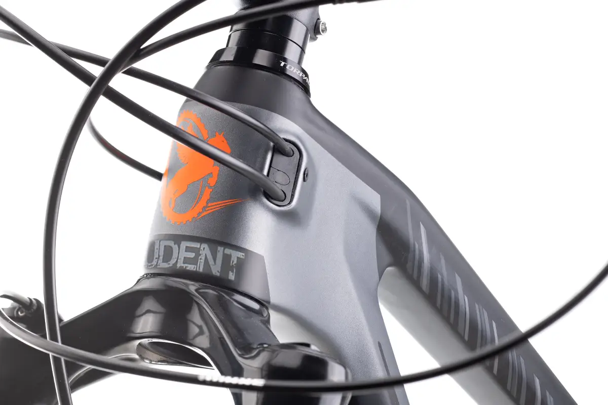 MATADOR N – SRAM SX EAGLE – RS JUDY – Bild 4